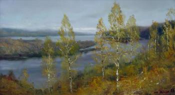 Access to the sea. Druzhina Larisa