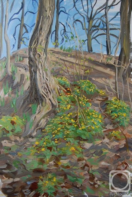 �������. ������������� �����. ���������� �� ������ ������