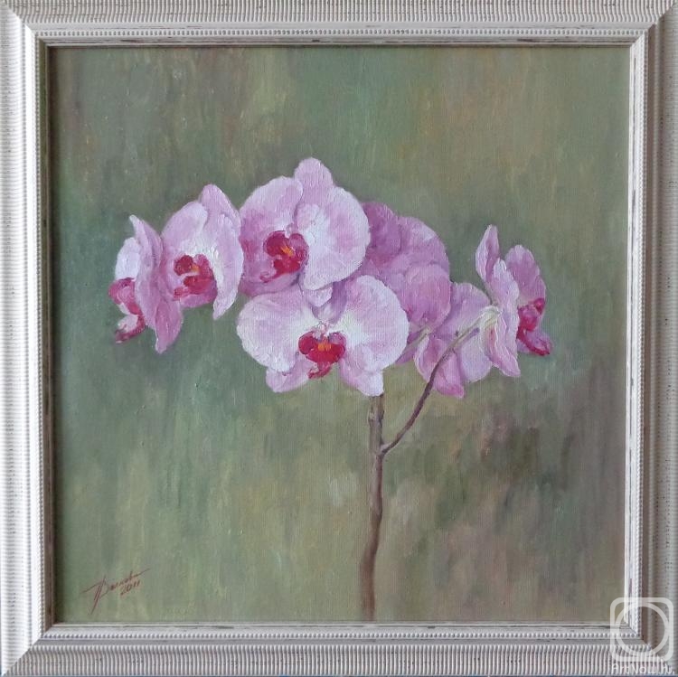 ������� ������ �� ������. ������� �������. �������