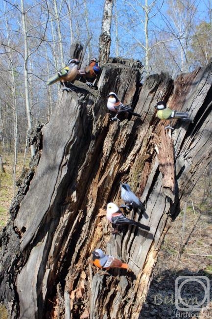 ������ ���. �� ��������