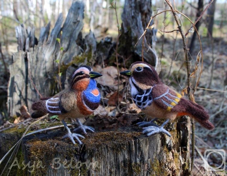 ������ ���. ���������