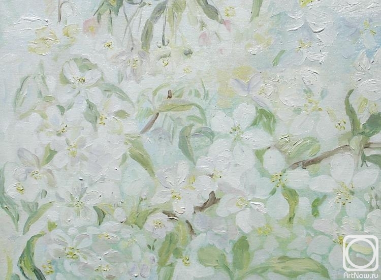 ������� ������ �� ������. ����� ������. ��������, ����� ��������