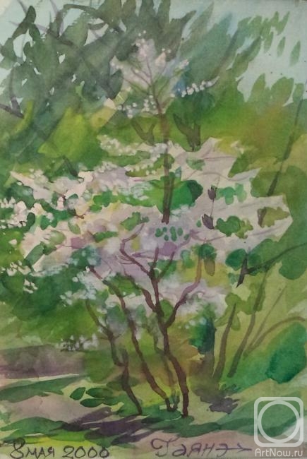 Dobrovolskaya Gayane. Cherry-Tree with Blossoms 3