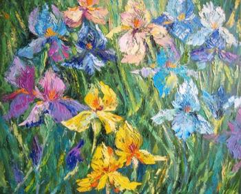 Irises in a clearing