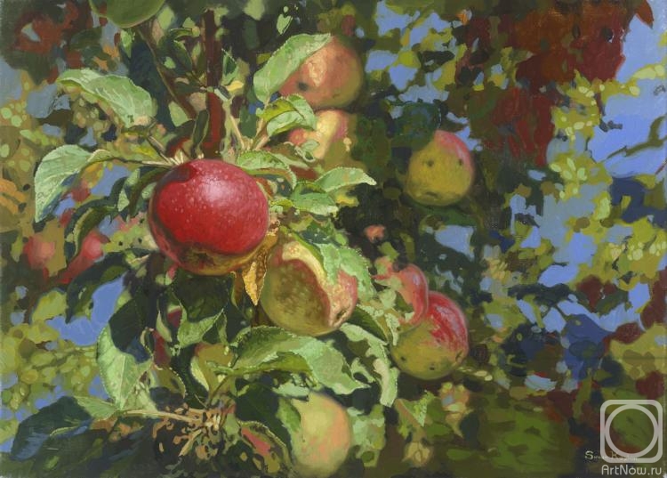 Kozhin Simon. Apples