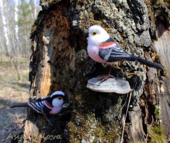 ������ ���������� (�����������). ������ ���