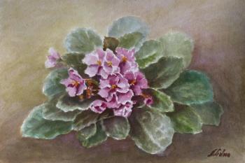 ������� ������ ������� ��������