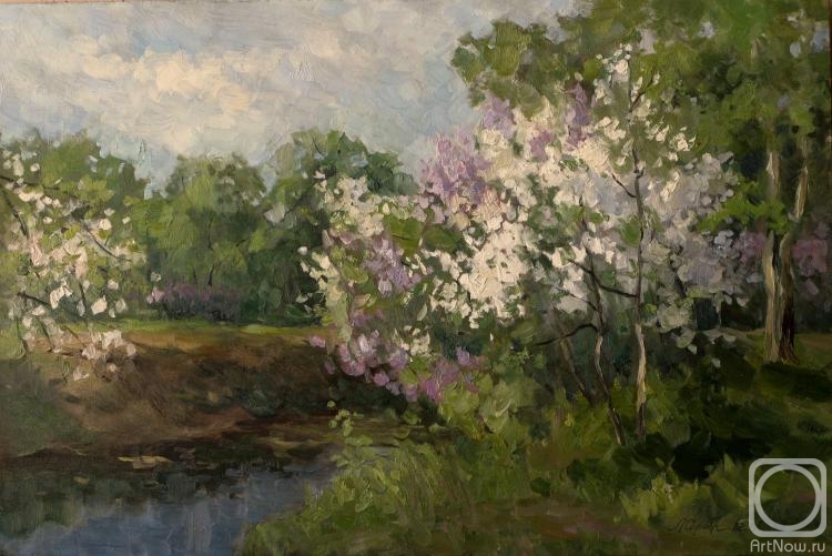 �������. �������������� ������. ������� ��������