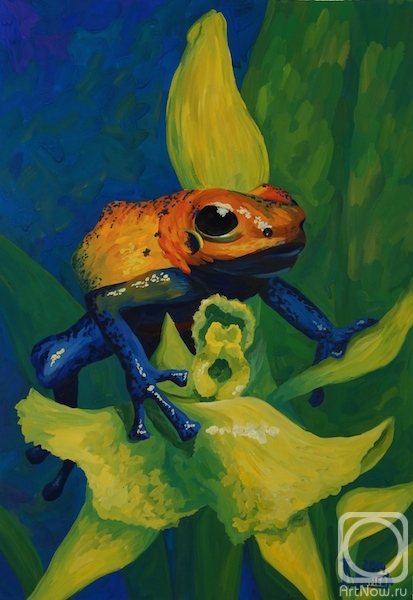 Lukaneva Larissa. The Poisonous Tree Frog