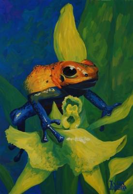 The Poisonous Tree Frog. Lukaneva Larissa