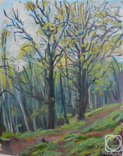 �������. ������������� �����. �����, �����, 9 ���