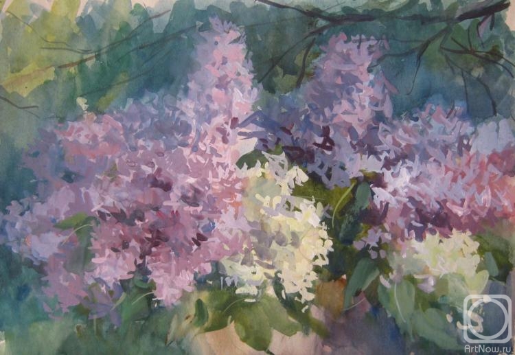 �������. ������� ��������. "����� ������" ����