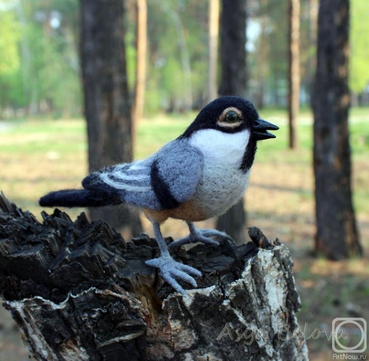 ������ ���. �������-������