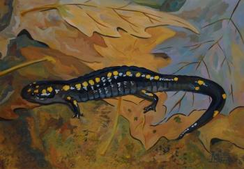 The Salamander. Lukaneva Larissa