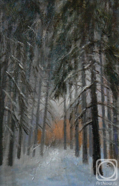 Malyusova Tatiana. Old forest in Bitza-park