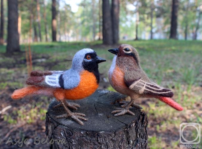 ������ ���. �����������