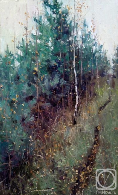 ������� ������ �� ������. �������� �������. ��������