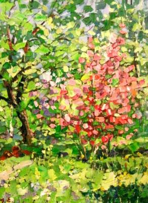 ������� ��������� ����