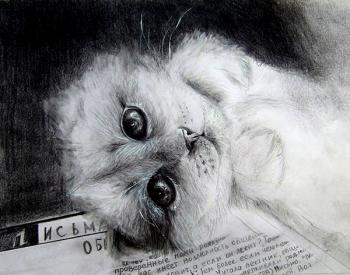 Little kitten. Yushkova Natalia