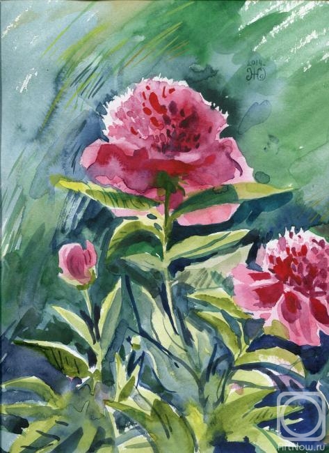 �������. ��������� ����. �����