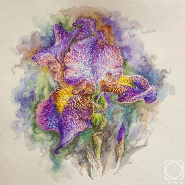 �������. �������� ����. ����