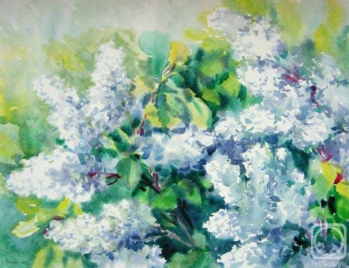 �������. ���������� ���������. ����� ������