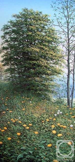 ������� ������ �� ������. ������� �������. ������� ����. �����