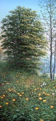 ������� �������� ����. �����