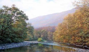 ������� ����� ����� 2�