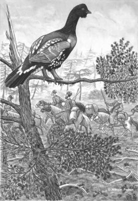 Caravan with fur contribution