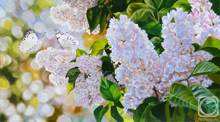 ������� ������ �� ������. ��������� �����. ���������� ������