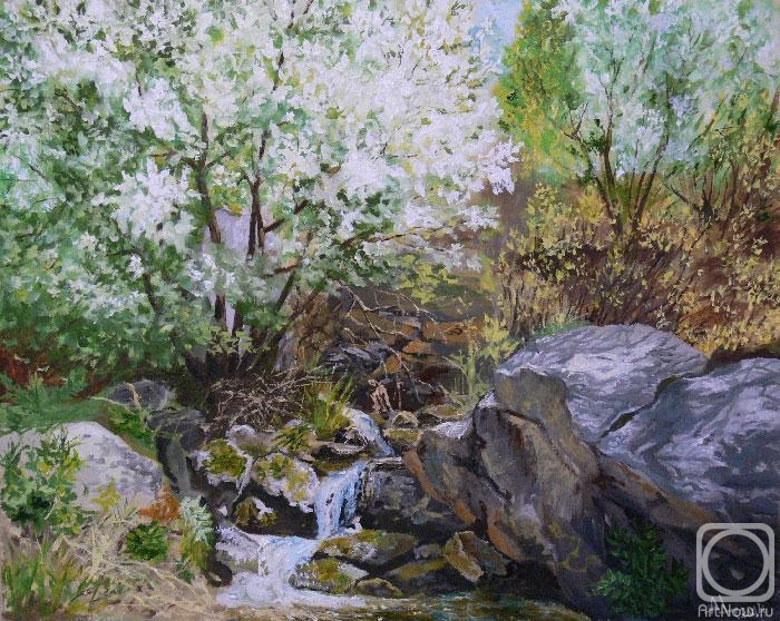 �������. �������� ���������. � ������� ���������� ����