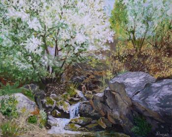 ������� �� ������� ���������� ����