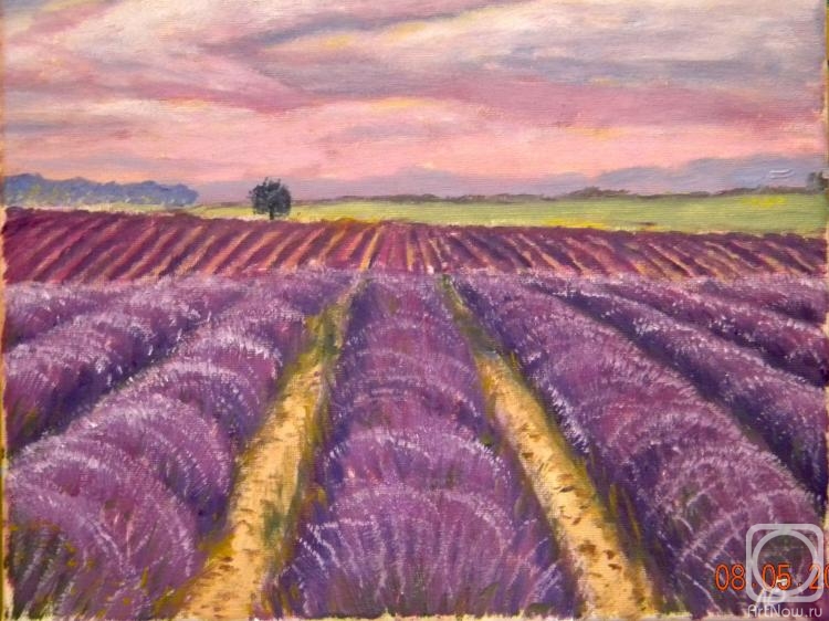 ������� ������ �� ������. ������ ������. ���������� ����