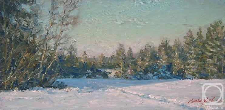 Gaiderov Michail. Winter Trail
