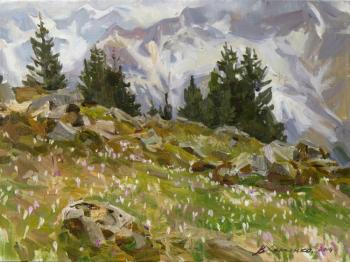 Spring on a northern slope (). Kharchenko Victoria