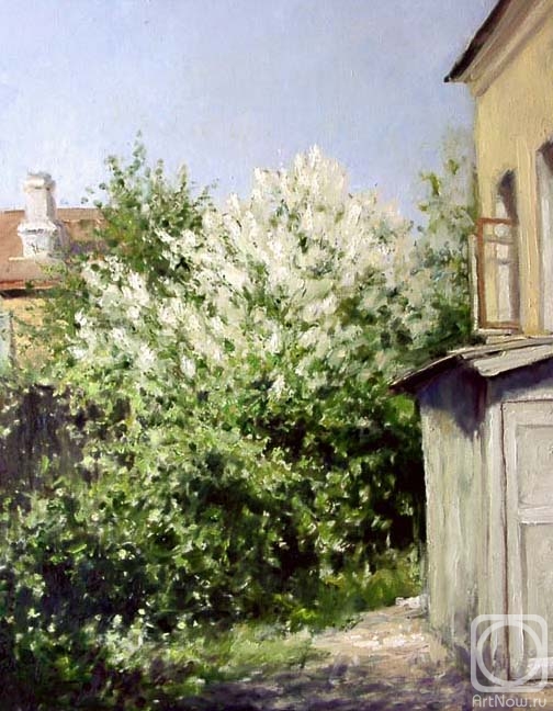 Gaiderov Michail. White lilac blossoms