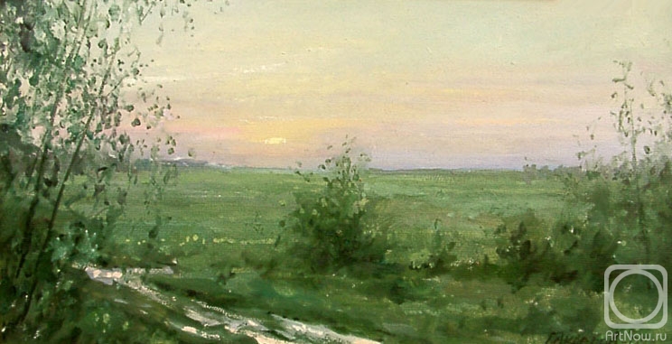 Gaiderov Michail. The dawn goes out