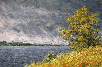 A thunderstorm is coming...