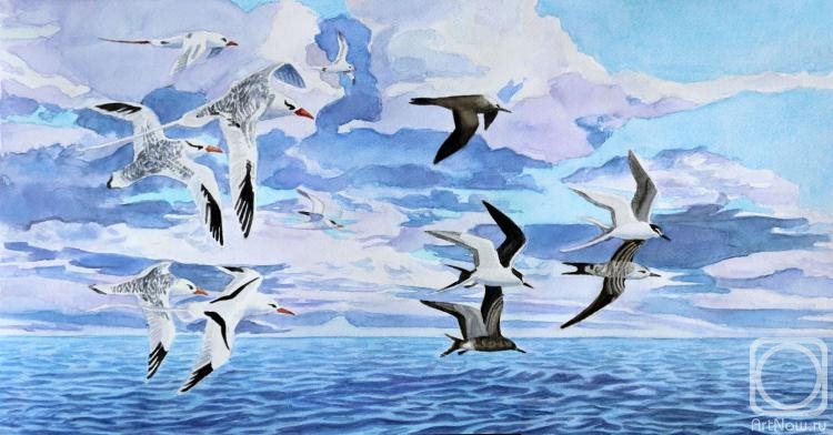 �������. ������� �������. �������� "�����". ����� ������