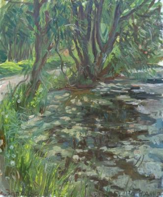 The Edge of a Pond (Willows Painting). Dobrovolskaya Gayane