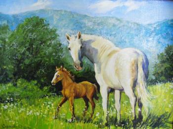 Horses in mountains. Simonova Olga