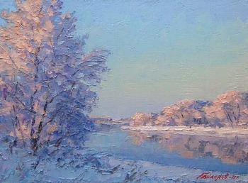 January... On the Moskva River. Gaiderov Michail