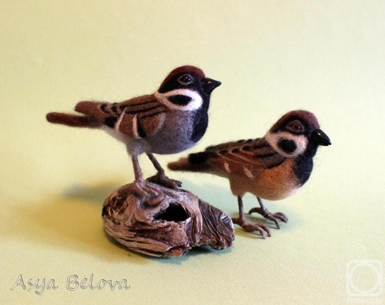 Belova Asya. Sparrows