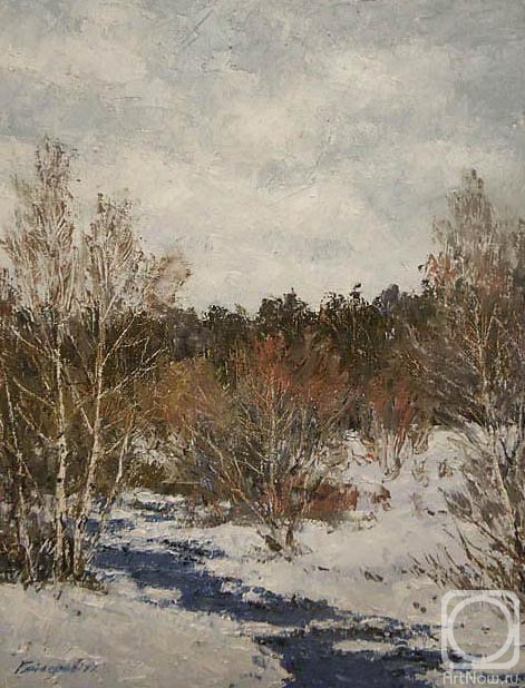 Gaiderov Michail. Snow fell