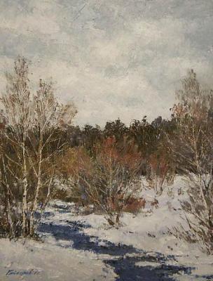 Snow fell. Gaiderov Michail