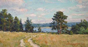 Road to the river. Gaiderov Michail
