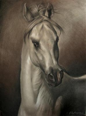 Horse (Portraits To Order). Novodvorskaya Alexandra