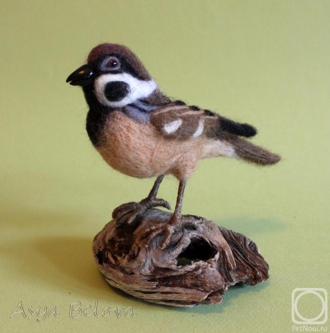 Belova Asya. Sparrow