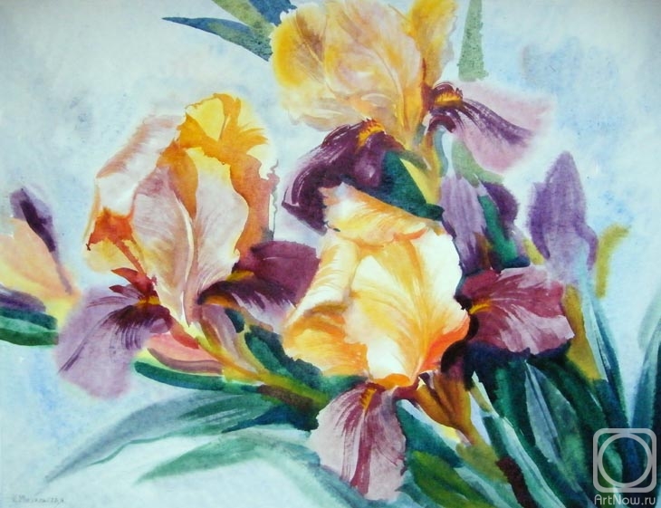 Mikhalskaya Katya. Irises. June